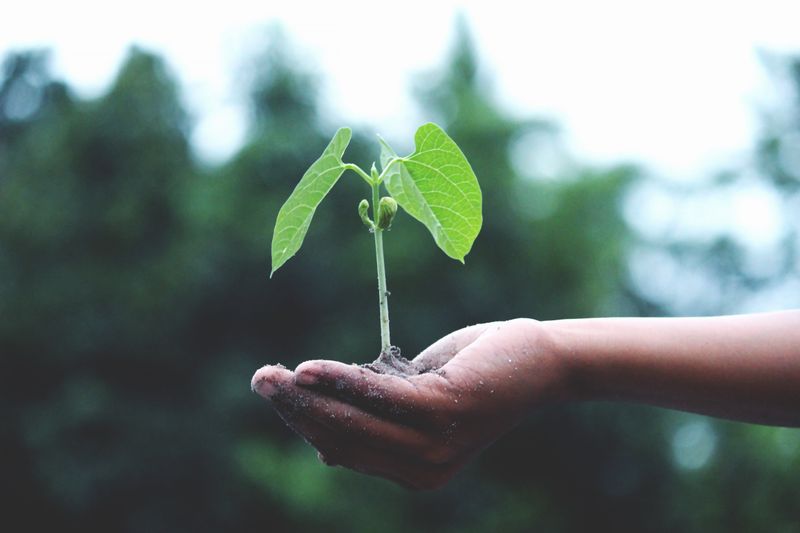 Sustainable growth